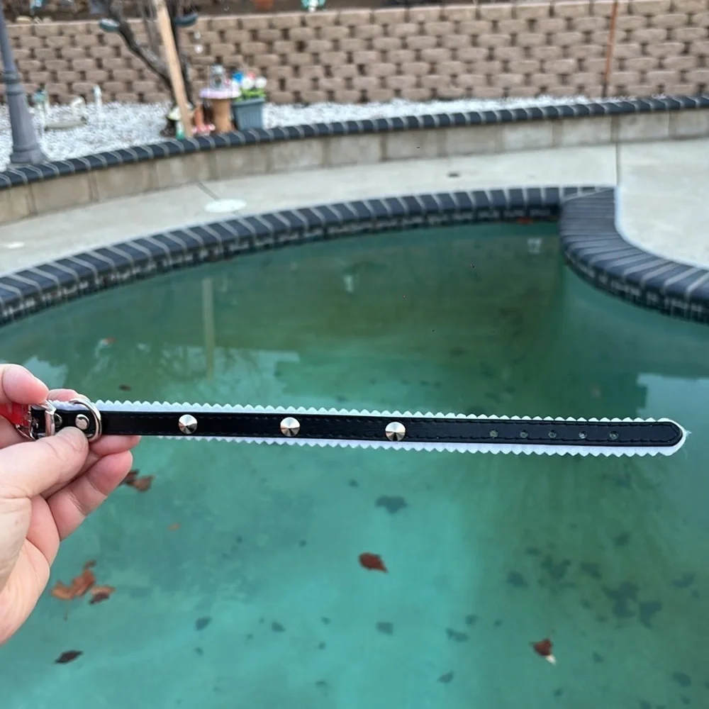 Black Collar for Small Dogs | collar length 11in